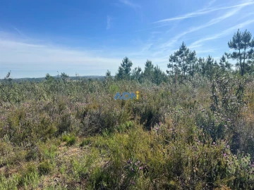 Terreno para Venda em Cebolais de Cima e Retaxo