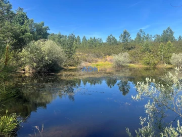 Terreno para Venda em Cebolais de Cima e Retaxo
