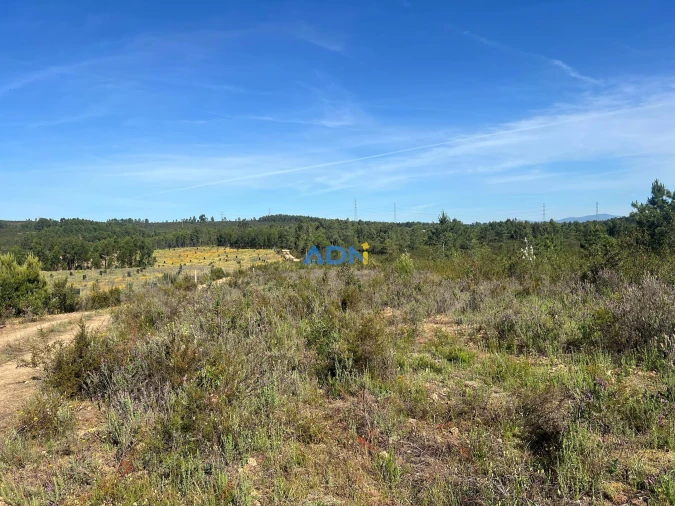 Terreno para Venda em Cebolais de Cima e Retaxo Foto 9