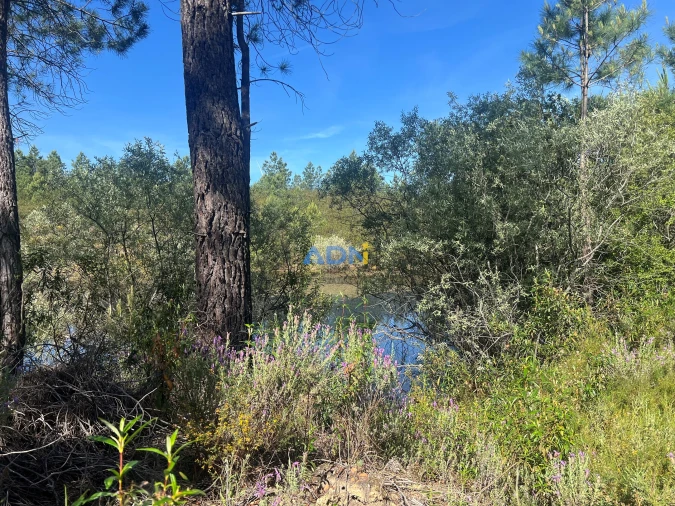 Terreno para Venda em Cebolais de Cima e Retaxo Foto 4