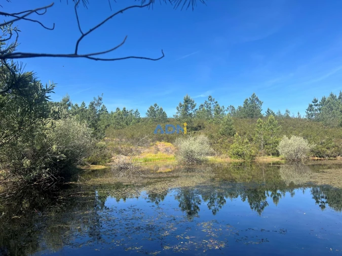 Terreno para Venda em Cebolais de Cima e Retaxo Foto 6
