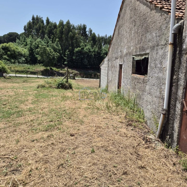 Terreno para Venda em Ferreira do Zezere Foto 8