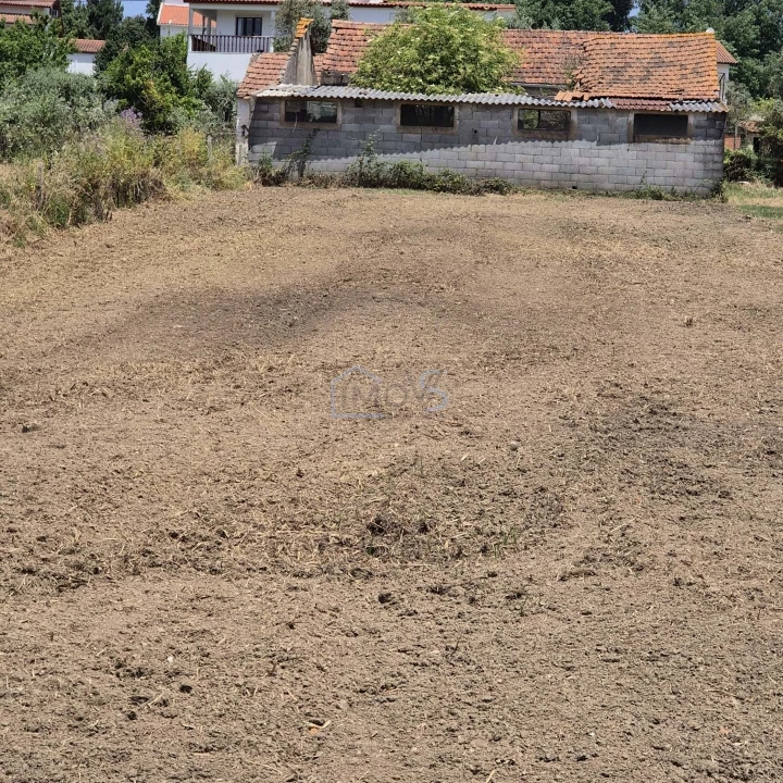 Terreno para Venda em Ferreira do Zezere Foto 13