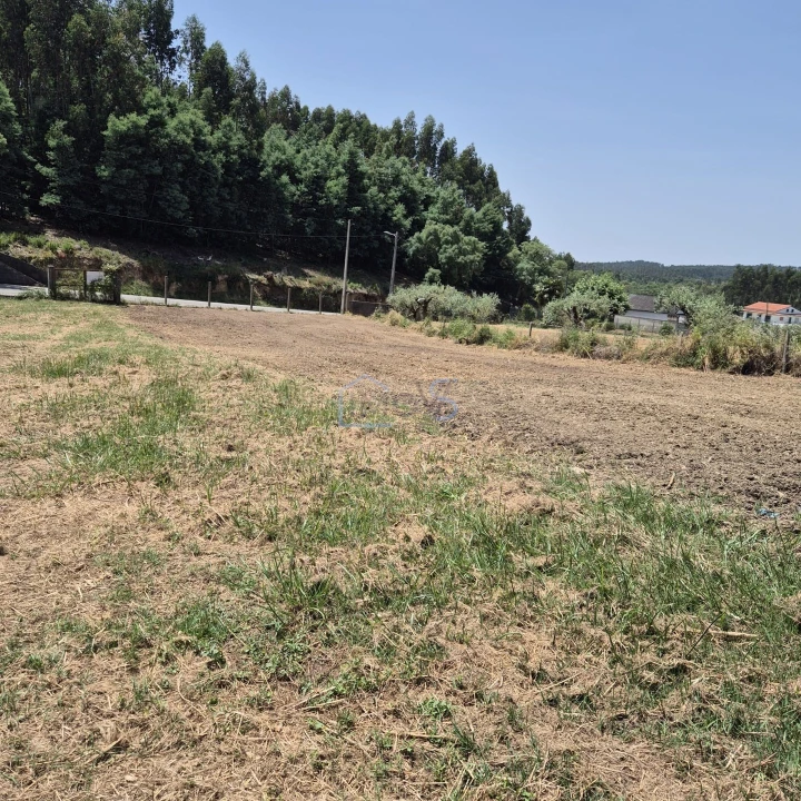 Terreno para Venda em Ferreira do Zezere Foto 12