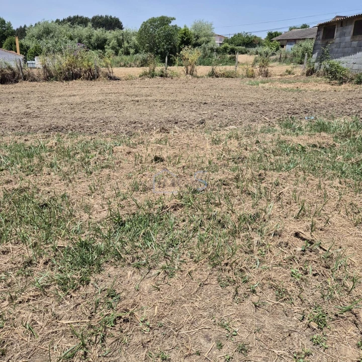 Terreno para Venda em Ferreira do Zezere Foto 11