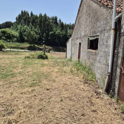 Terreno para Venda em Ferreira do Zezere Foto 9