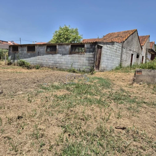 Terreno para Venda em Ferreira do Zezere Foto 11