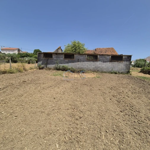 Terreno para Venda em Ferreira do Zezere Foto 5