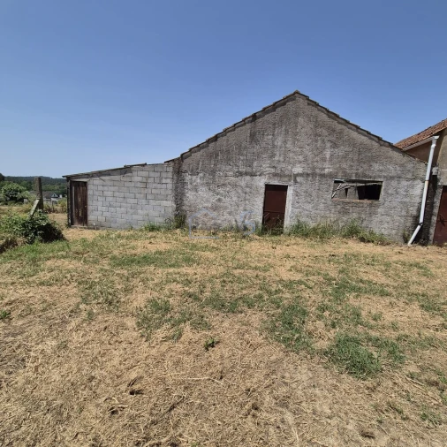 Terreno para Venda em Ferreira do Zezere Foto 3