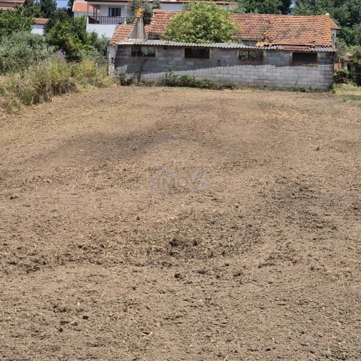 Terreno para Venda em Ferreira do Zezere Foto 14