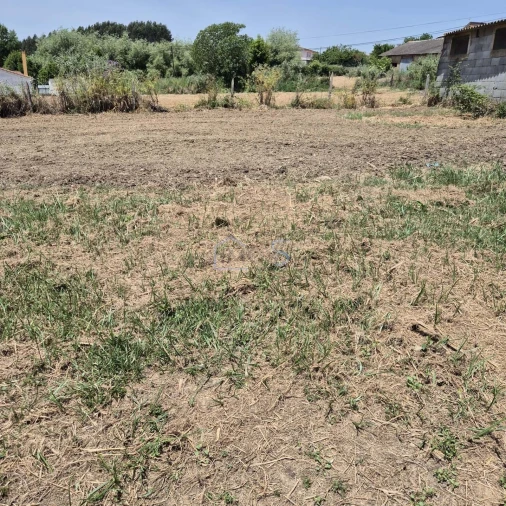 Terreno para Venda em Ferreira do Zezere Foto 12