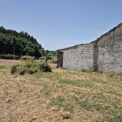 Terreno para Venda em Ferreira do Zezere Foto 7