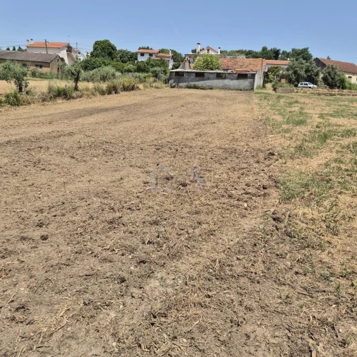 Terreno para Venda em Ferreira do Zezere Foto 16