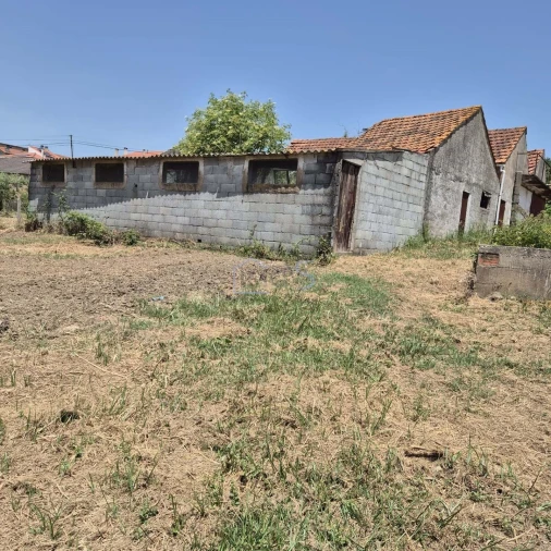Terreno para Venda em Ferreira do Zezere Foto 4