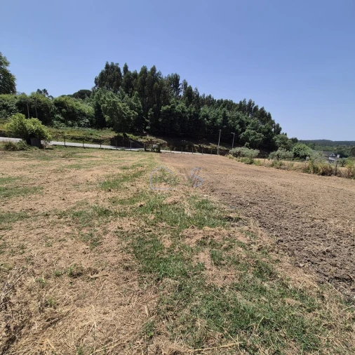 Terreno para Venda em Ferreira do Zezere Foto 10