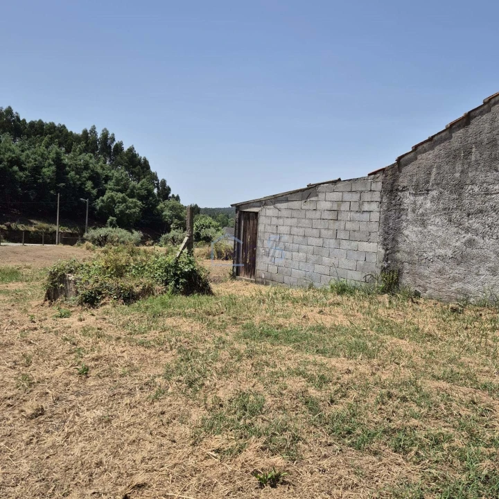 Terreno para Venda em Ferreira do Zezere Foto 6