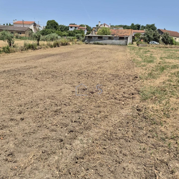 Terreno para Venda em Ferreira do Zezere Foto 15