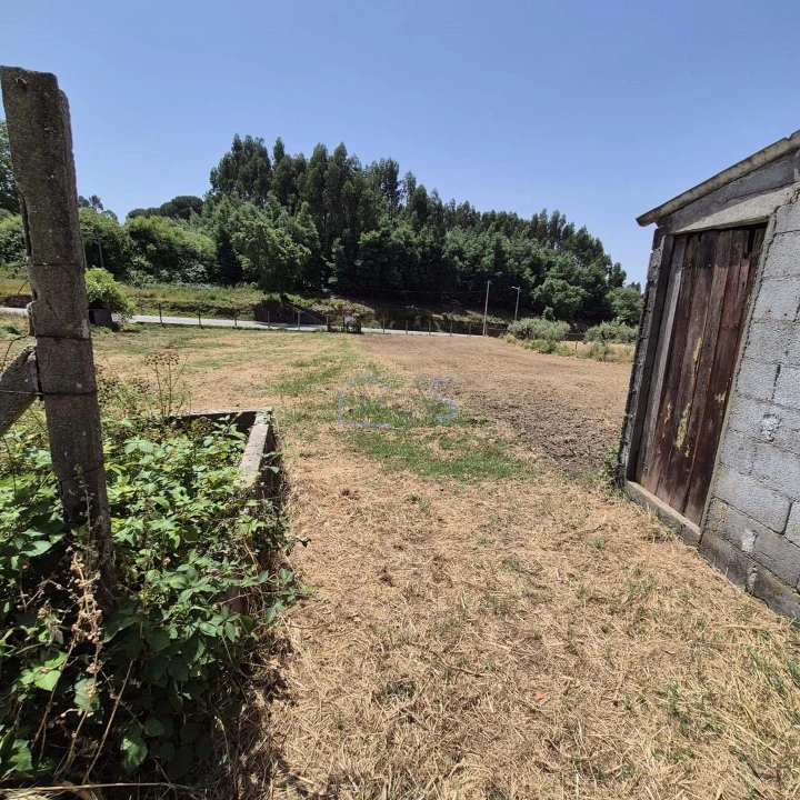 Terreno para Venda em Ferreira do Zezere Foto 5