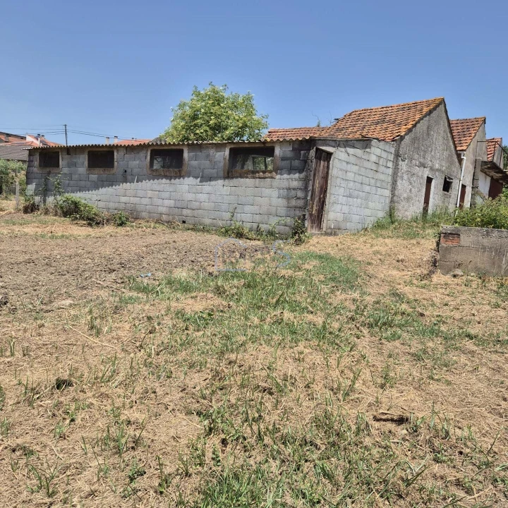 Terreno para Venda em Ferreira do Zezere Foto 1