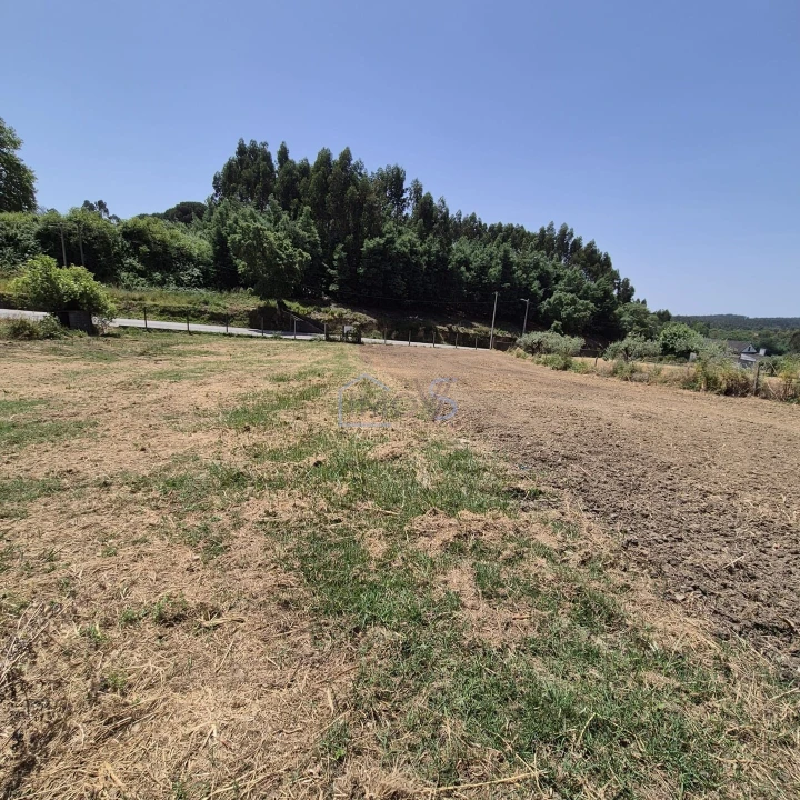 Terreno para Venda em Ferreira do Zezere Foto 9