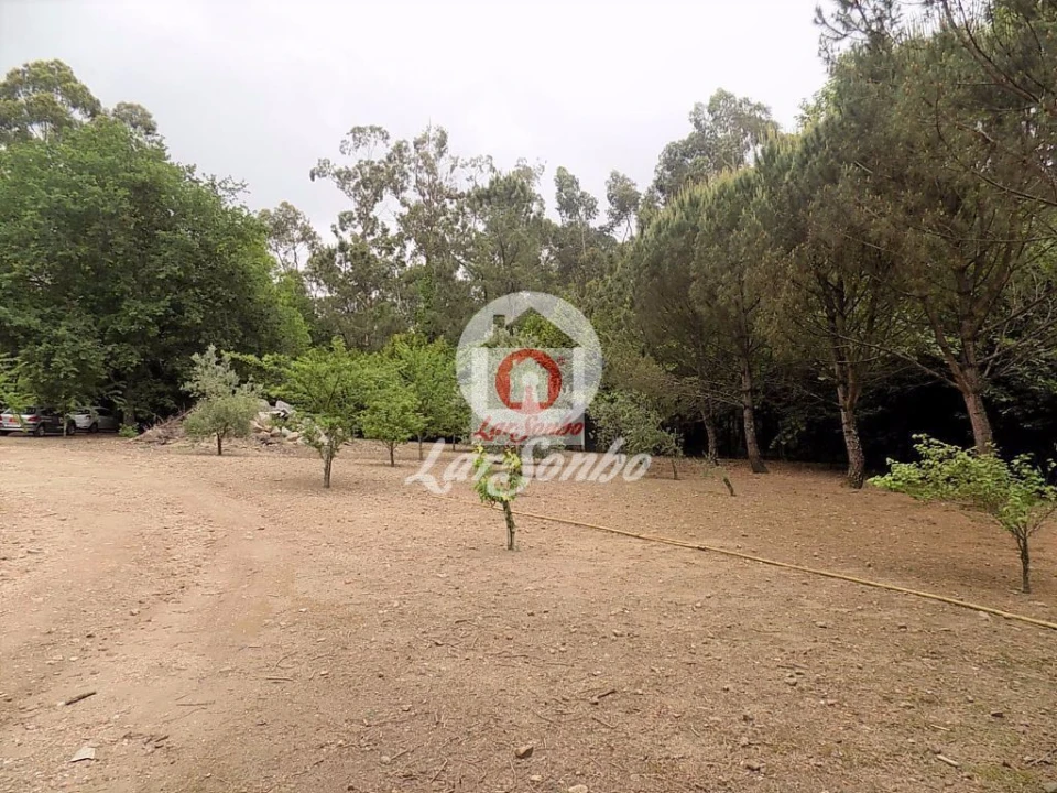 Quinta T0 para Venda em Cruz Foto 5