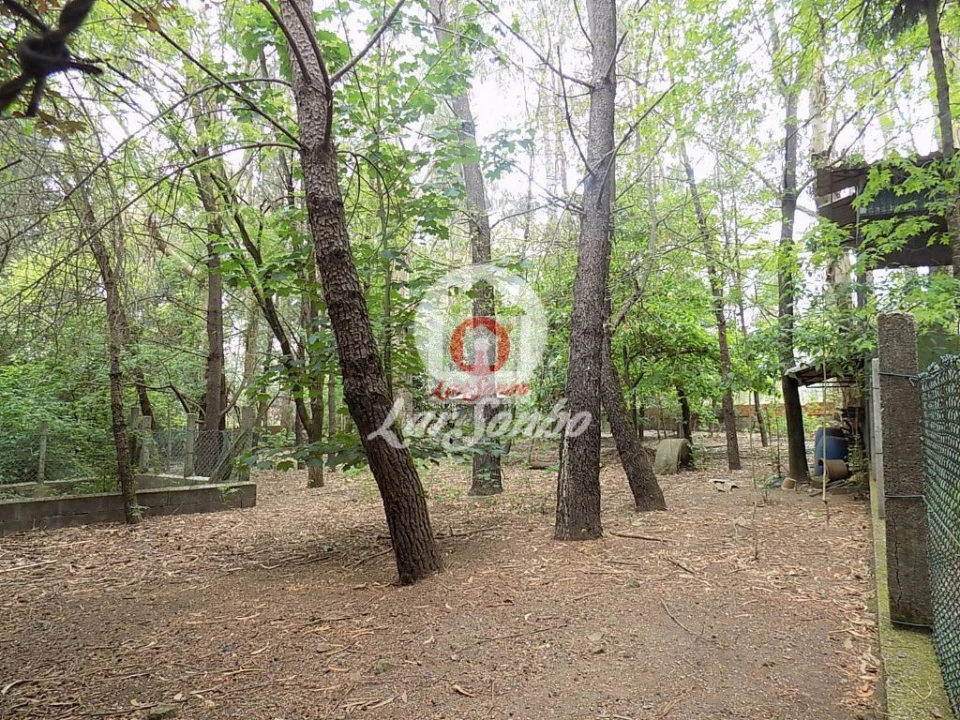 Quinta T0 para Venda em Cruz Foto 7