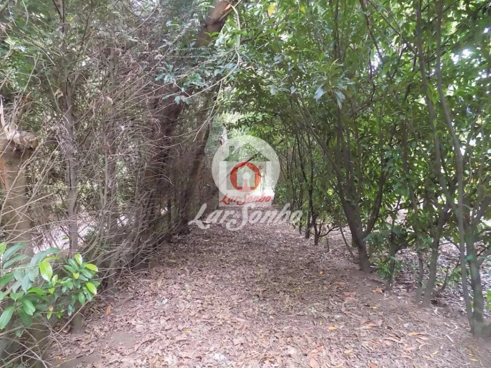 Quinta T0 para Venda em Cruz Foto 10