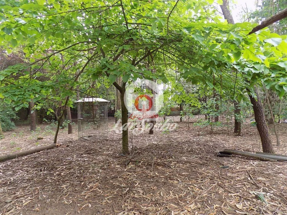 Quinta T0 para Venda em Cruz Foto 11