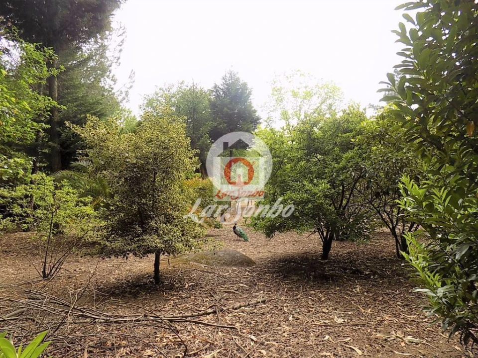 Quinta T0 para Venda em Cruz Foto 12