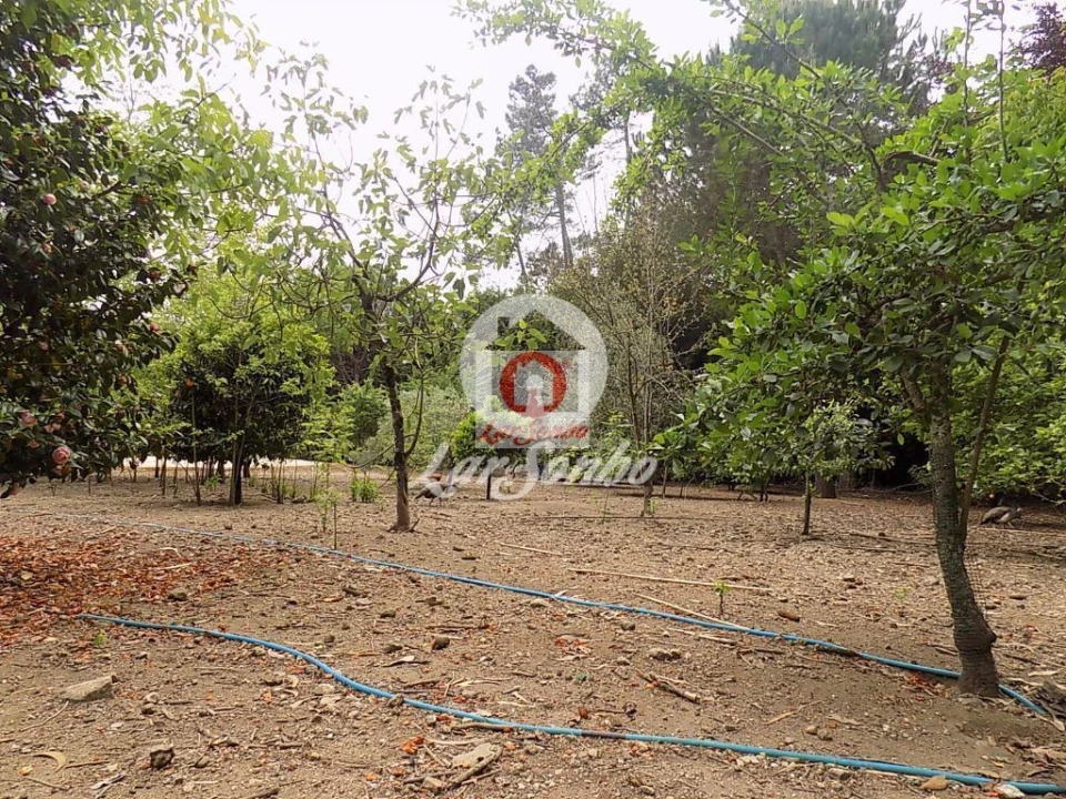 Quinta T0 para Venda em Cruz Foto 13