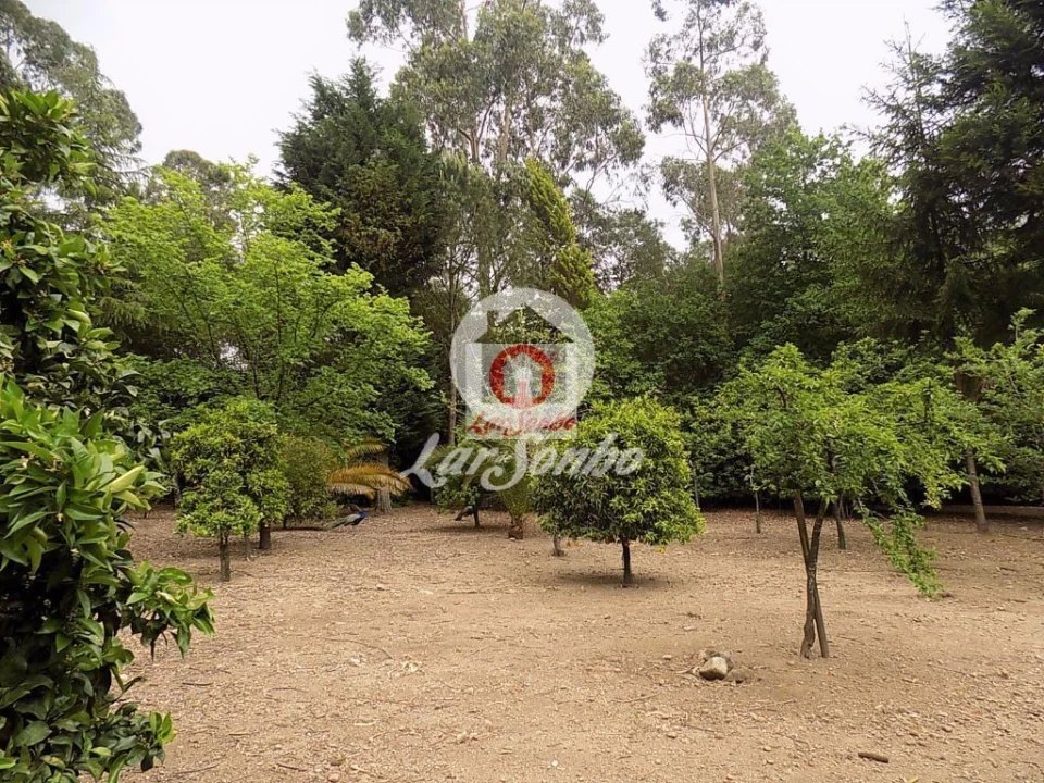 Quinta T0 para Venda em Cruz Foto 14