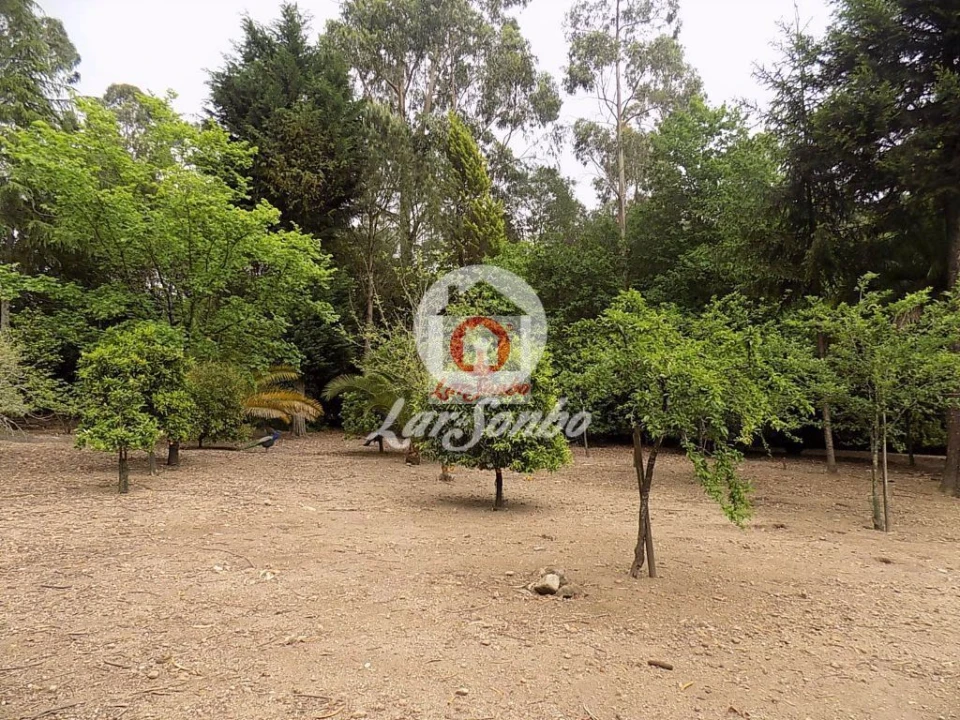 Quinta T0 para Venda em Cruz Foto 15