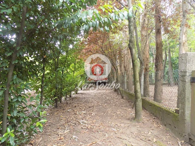 Quinta T0 para Venda em Cruz Foto 9