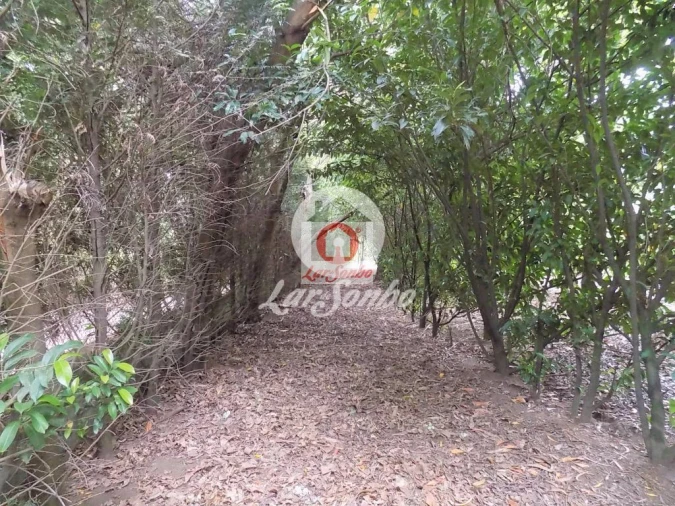 Quinta T0 para Venda em Cruz Foto 10