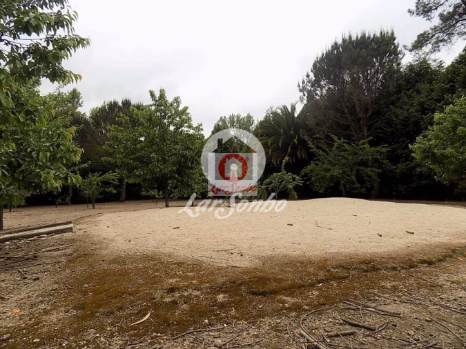 Quinta T0 para Venda em Cruz Foto 16