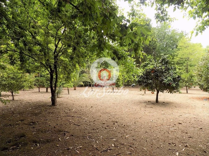 Quinta T0 para Venda em Cruz Foto 19