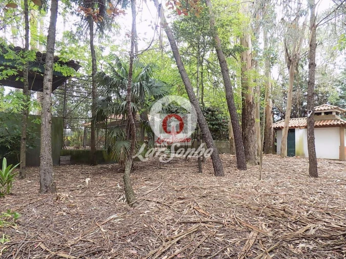 Quinta T0 para Venda em Cruz Foto 20