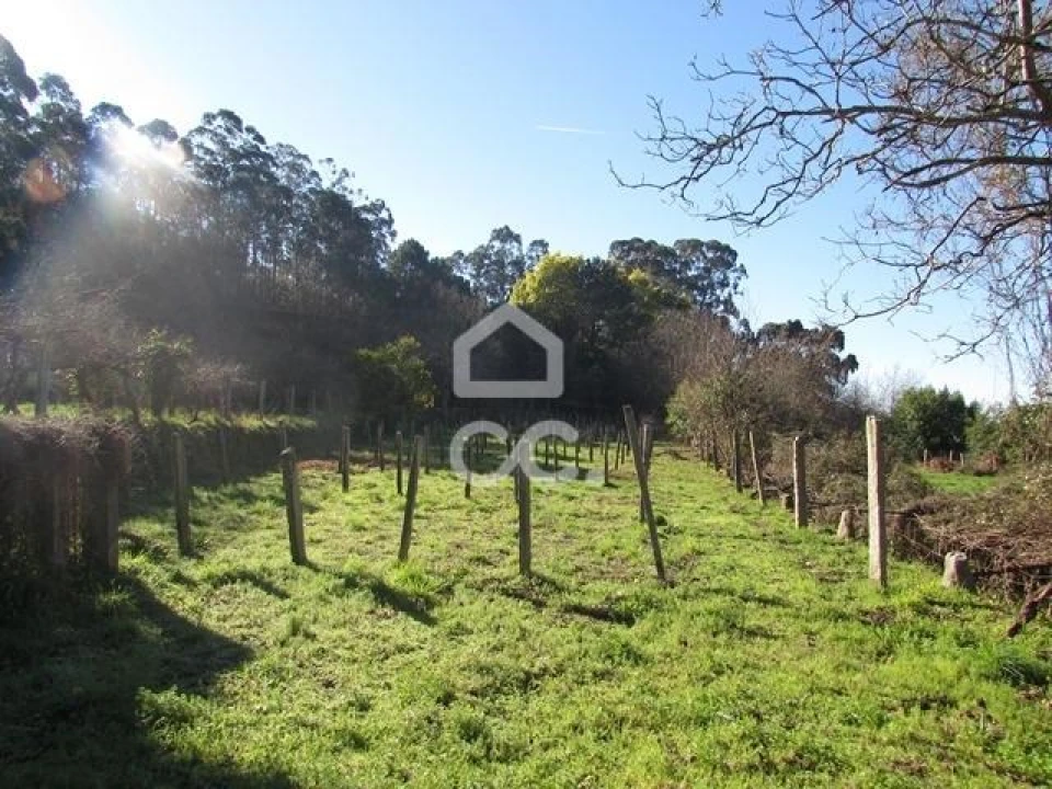 Quinta T4 para Venda em Seixas Foto 12