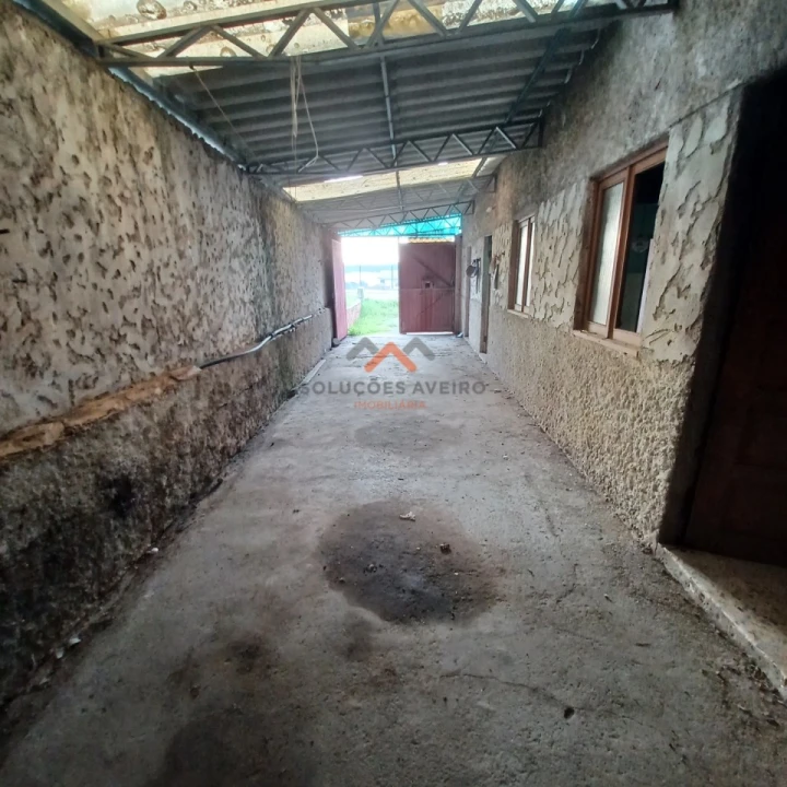 Moradia T2 para Venda em Bustos, Troviscal e Mamarrosa Foto 3