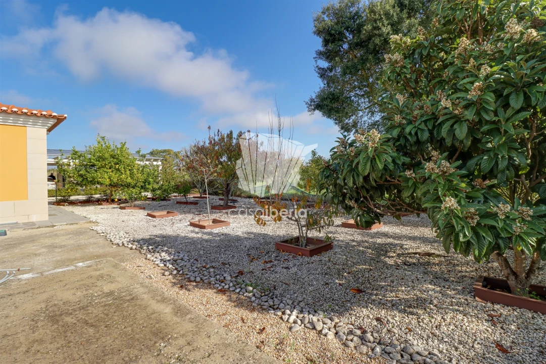 Moradia T4 para Venda em Santo Estêvão Foto 66