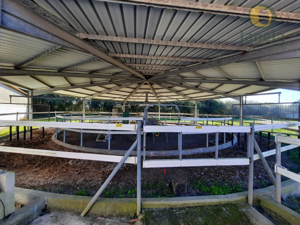 Quinta T9 para Venda em São Teotónio Foto 56