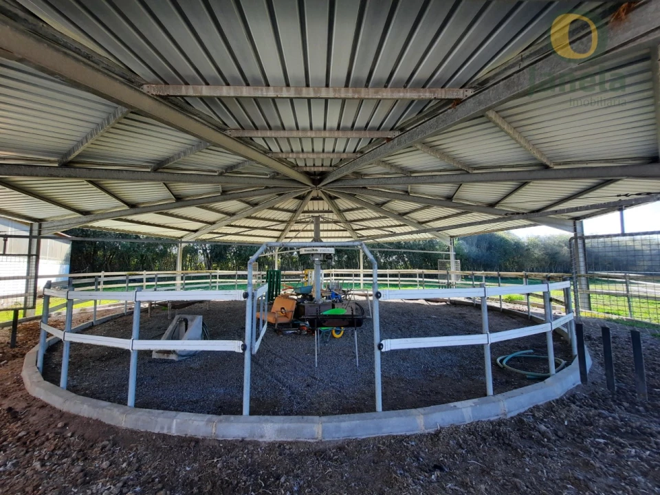 Quinta T9 para Venda em São Teotónio Foto 12