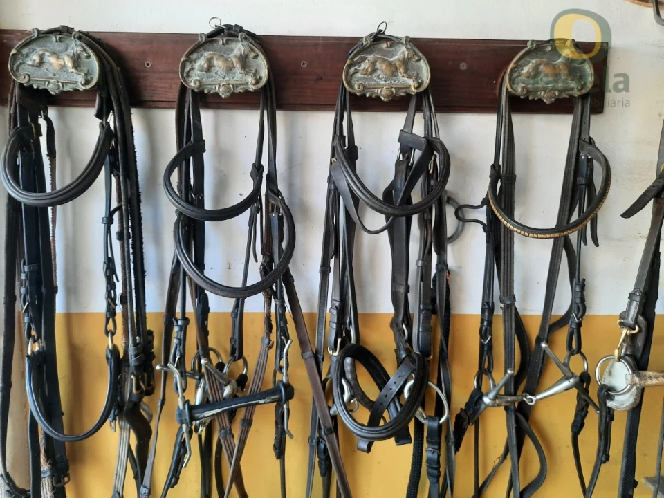 Quinta T9 para Venda em São Teotónio Foto 6