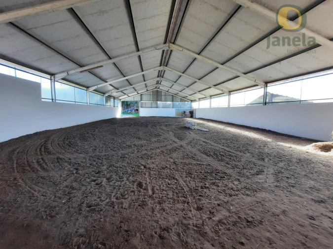 Quinta T9 para Venda em São Teotónio Foto 57