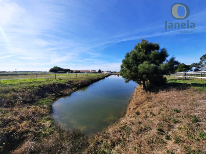 Quinta T9 para Venda em São Teotónio Foto 58