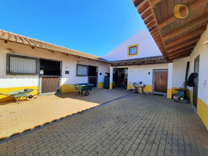 Quinta T9 para Venda em São Teotónio Foto 66