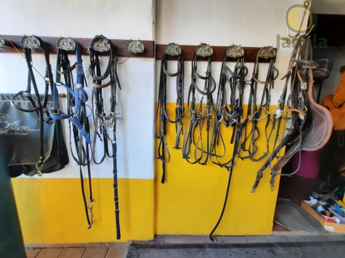 Quinta T9 para Venda em São Teotónio Foto 68