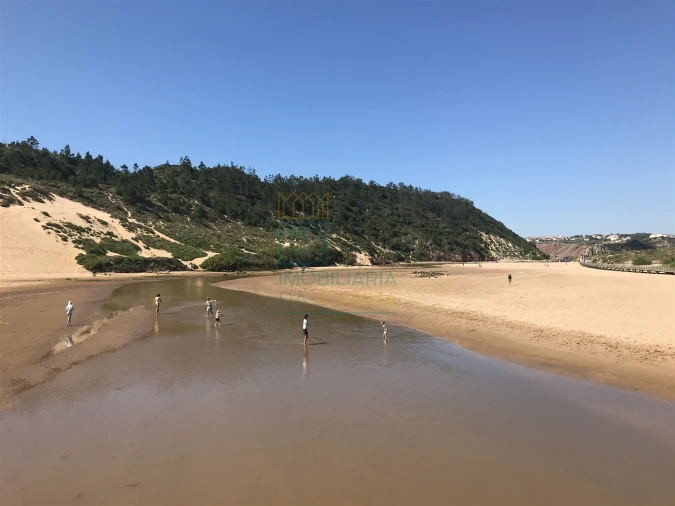 Moradia T2 para Venda em Tornada e Salir do Porto Foto 40