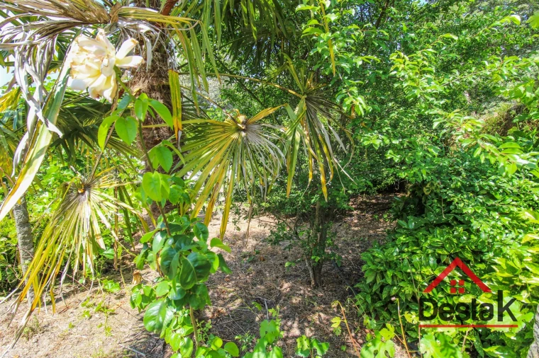 Moradia T5 para Venda em São Pedro do Sul, Várzea e Baiões Foto 5