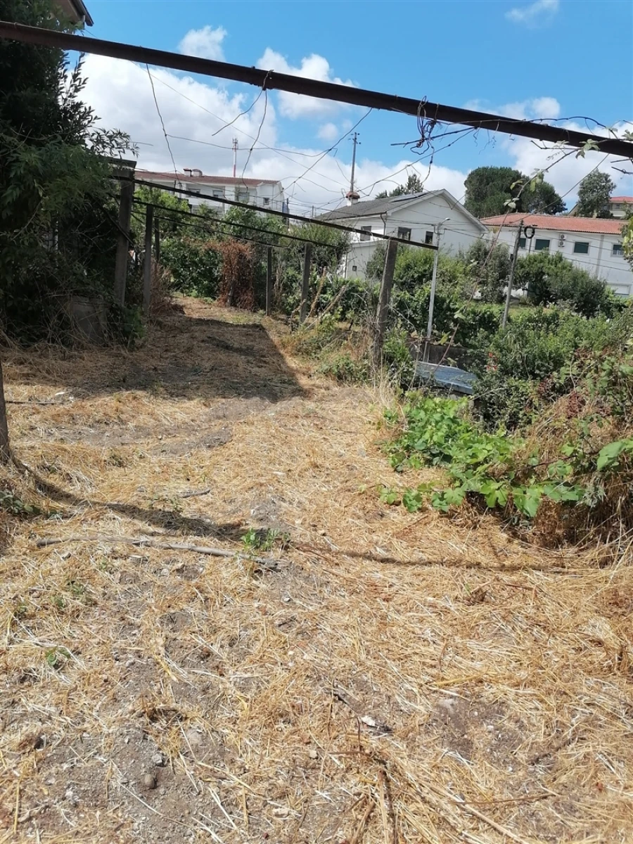 Terreno para Venda em Figueiras e Covas Foto 2